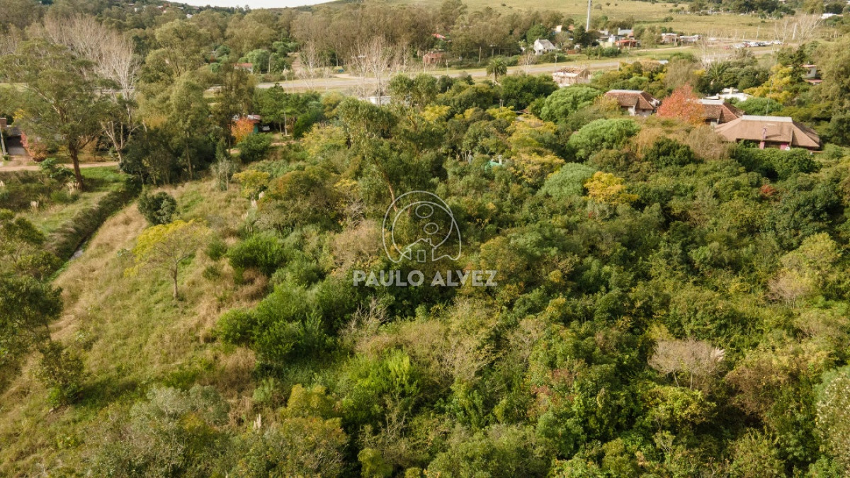 Te1464- Este lugar es ideal para comenzar tu próximo proyecto de vida - foto 1