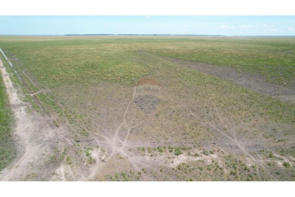 VENDO CAMPO AGRICOLA Y FORESTAL EN CAAZAPA — foto 2