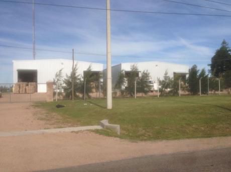 Alquiler Galpon De 900 M2
