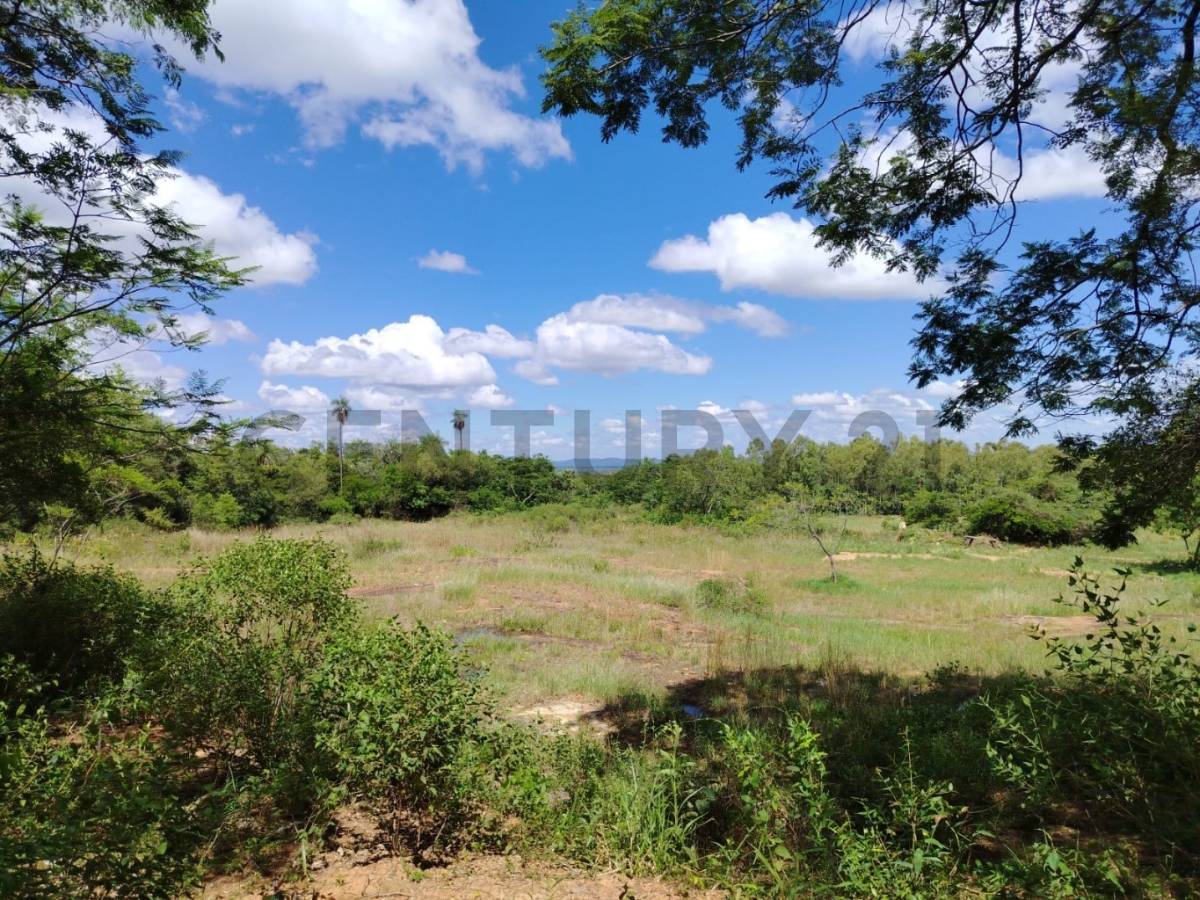 EN VENTA AMPLIO TERRENO EN SAN BERNARDINO, PIRAYU’I — foto 2