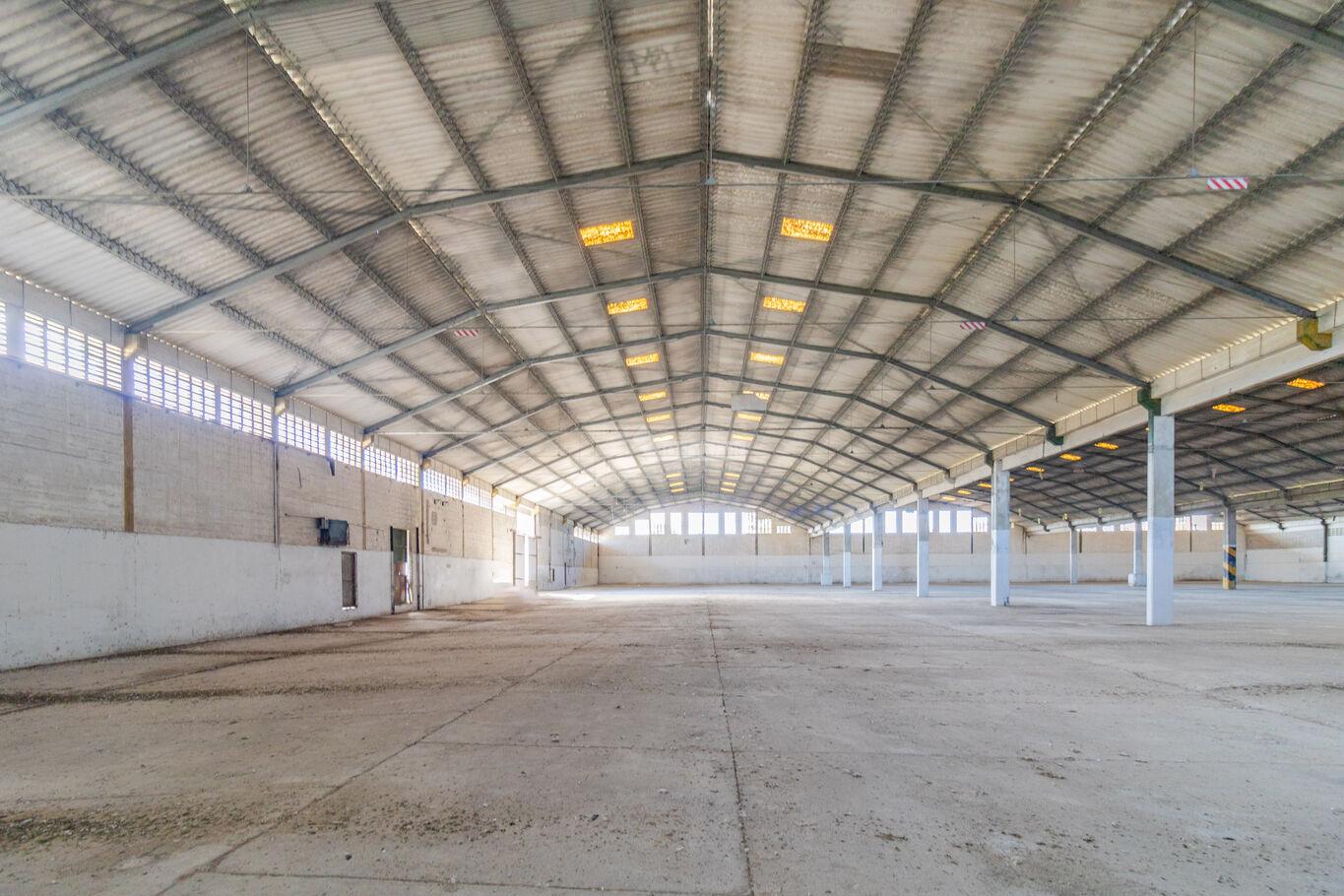VENTA ALQUILER LOCAL GALPON DEPOSITO RUTA 1 KM 26 A PASOS DEL PEAJE DE SANTA LUCIA!! 10.000m2 en 100 · Foto 4