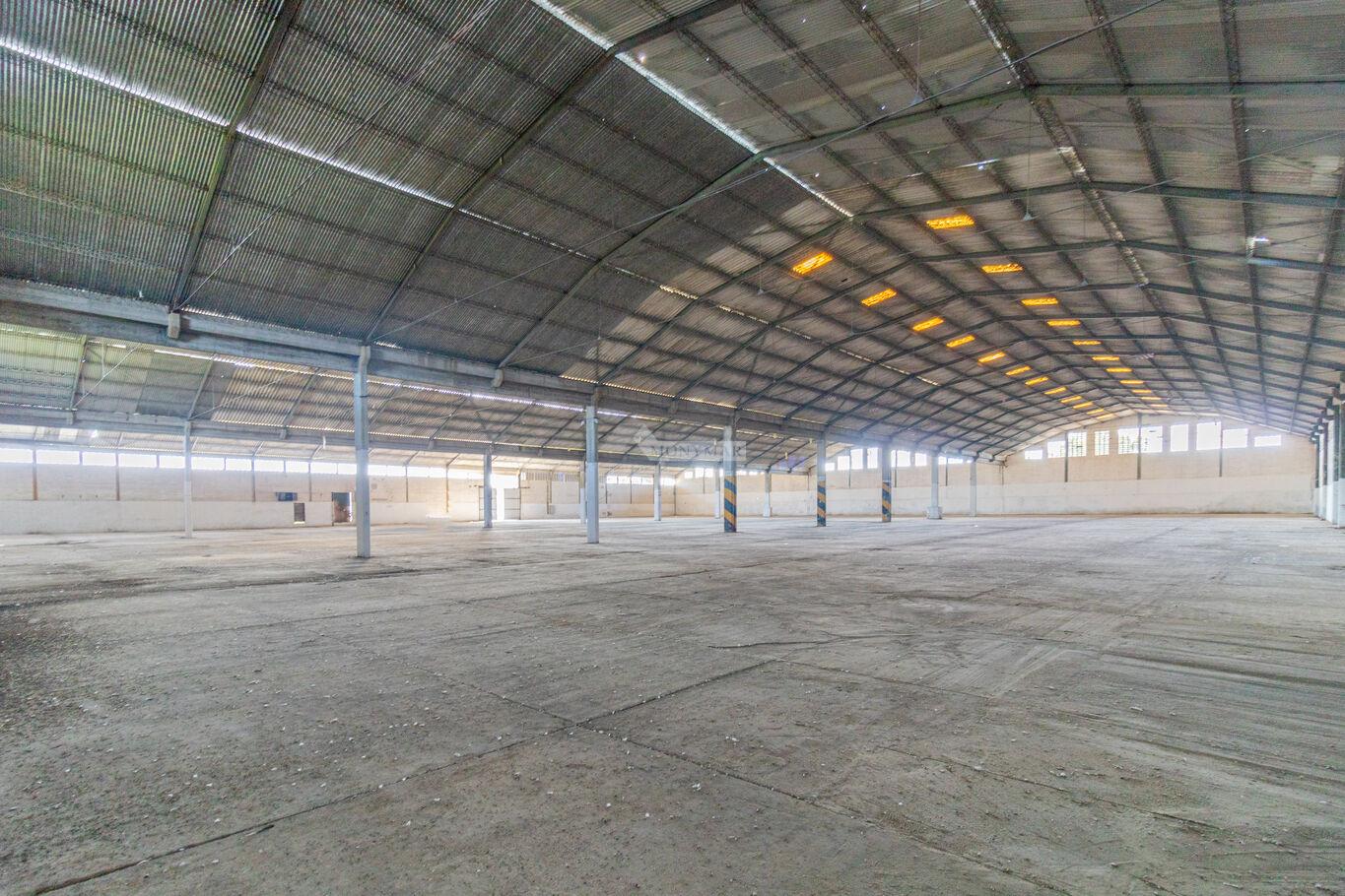 VENTA ALQUILER LOCAL GALPON DEPOSITO RUTA 1 KM 26 A PASOS DEL PEAJE DE SANTA LUCIA!! 10.000m2 en 100 · Foto 6