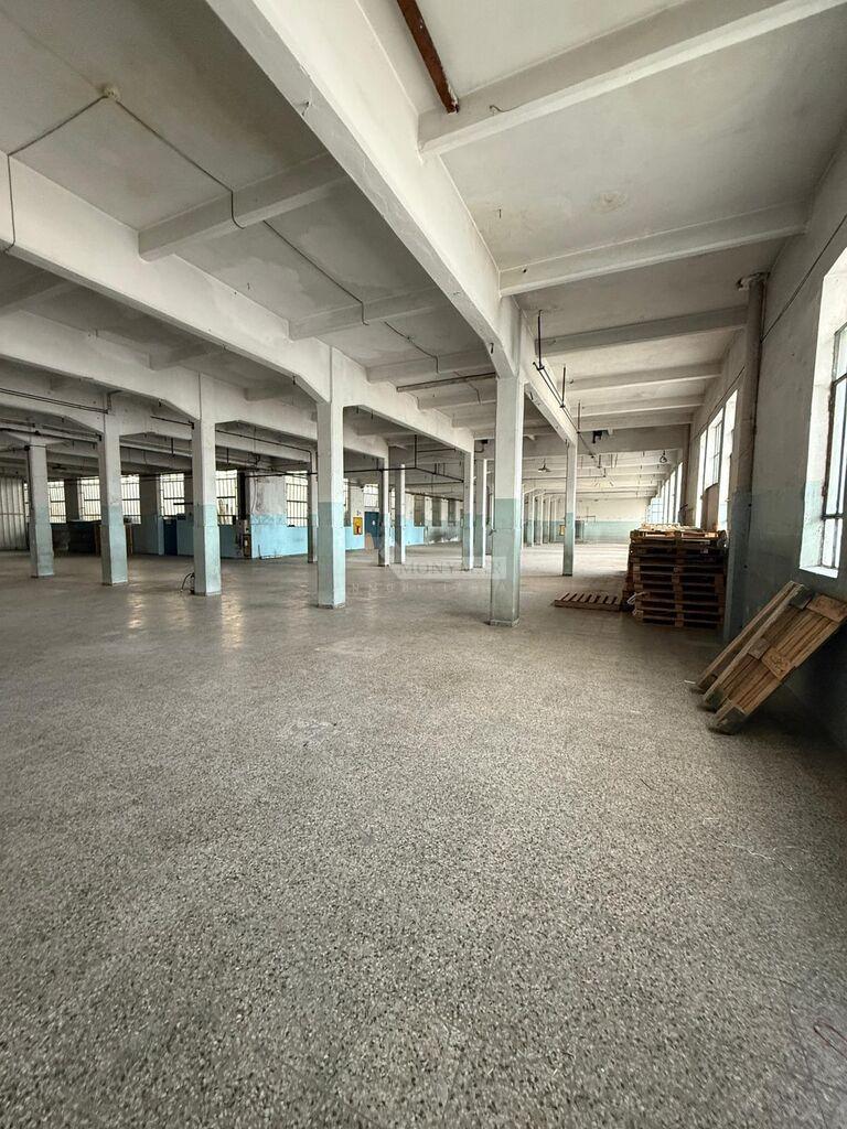ALQUILER LOCAL GALPON DEPOSITO MAROÑAS MARCOS SASTRE Y CORTEZ VARIOS TAMAÑOS.SIN GARANTÍA. VIG.24H