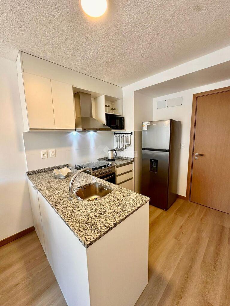 ALQUILER APARTAMENTO 1 DORMITORIO TRES CRUCES HAEDO Y PAULLIER TERRAZA y MUEBLES · Foto 6