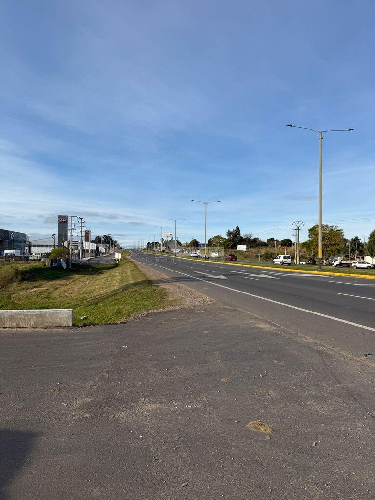 ALQUILER LOCAL GALPON DEPOSITO CANELONES COLONIA NICOLICH RUTA INTERBALNEARIA KM 22.5 PASOS AEROPUER · Foto 11