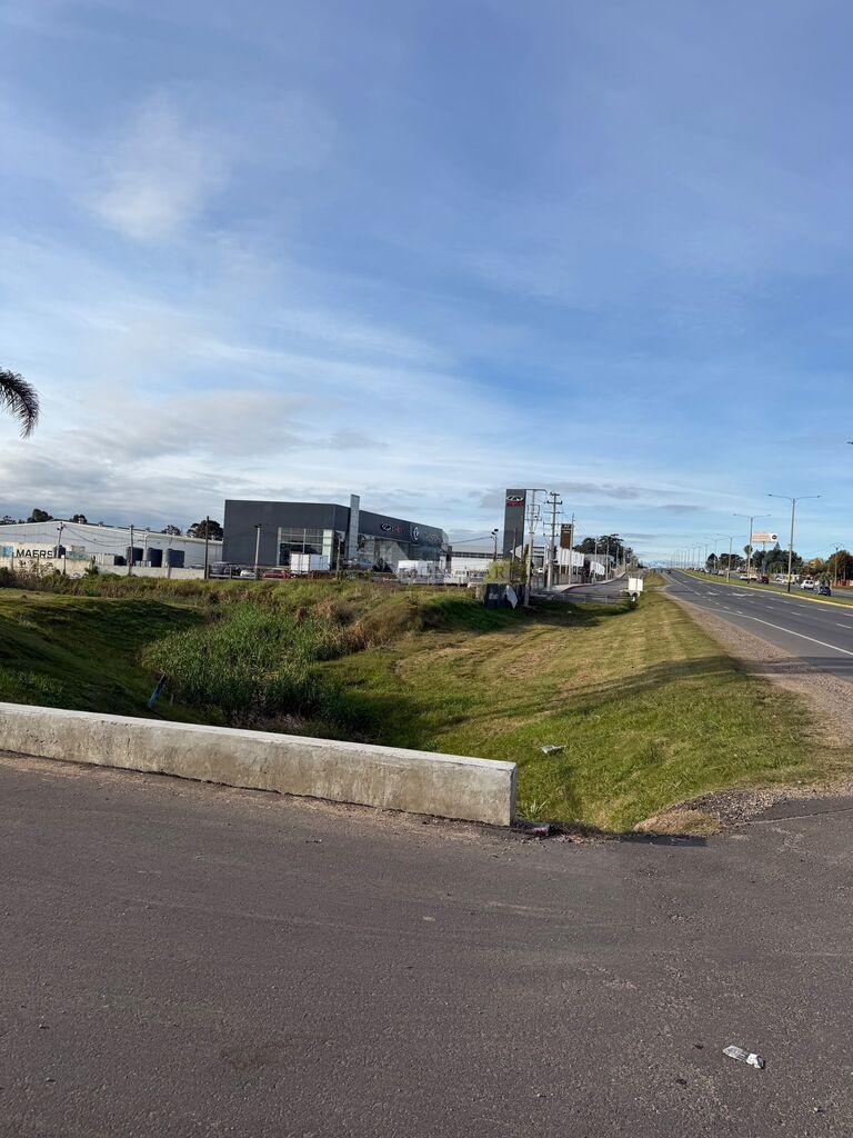 ALQUILER LOCAL GALPON DEPOSITO CANELONES COLONIA NICOLICH RUTA INTERBALNEARIA KM 22.5 PASOS AEROPUER · Foto 12