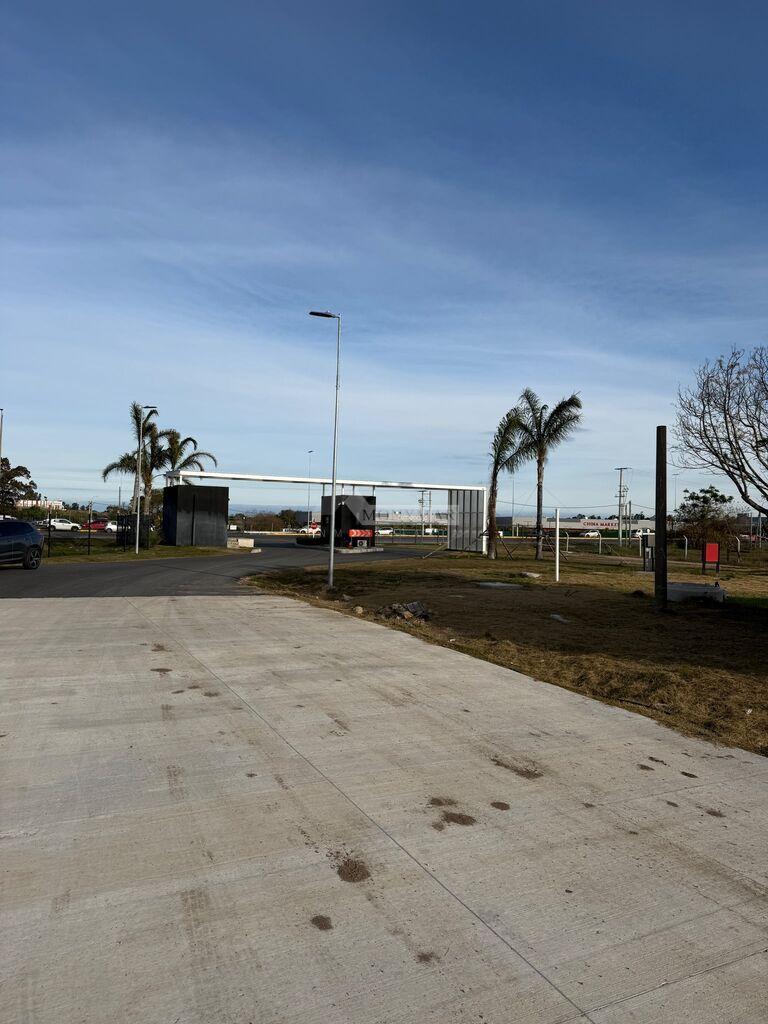 ALQUILER LOCAL GALPON DEPOSITO CANELONES COLONIA NICOLICH RUTA INTERBALNEARIA KM 22.5 PASOS AEROPUER · Foto 6