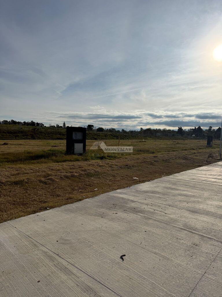 ALQUILER LOCAL GALPON DEPOSITO CANELONES COLONIA NICOLICH RUTA INTERBALNEARIA KM 22.5 PASOS AEROPUER · Foto 7
