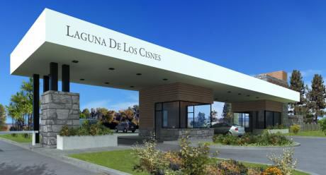 Laguna De Los Cisnes