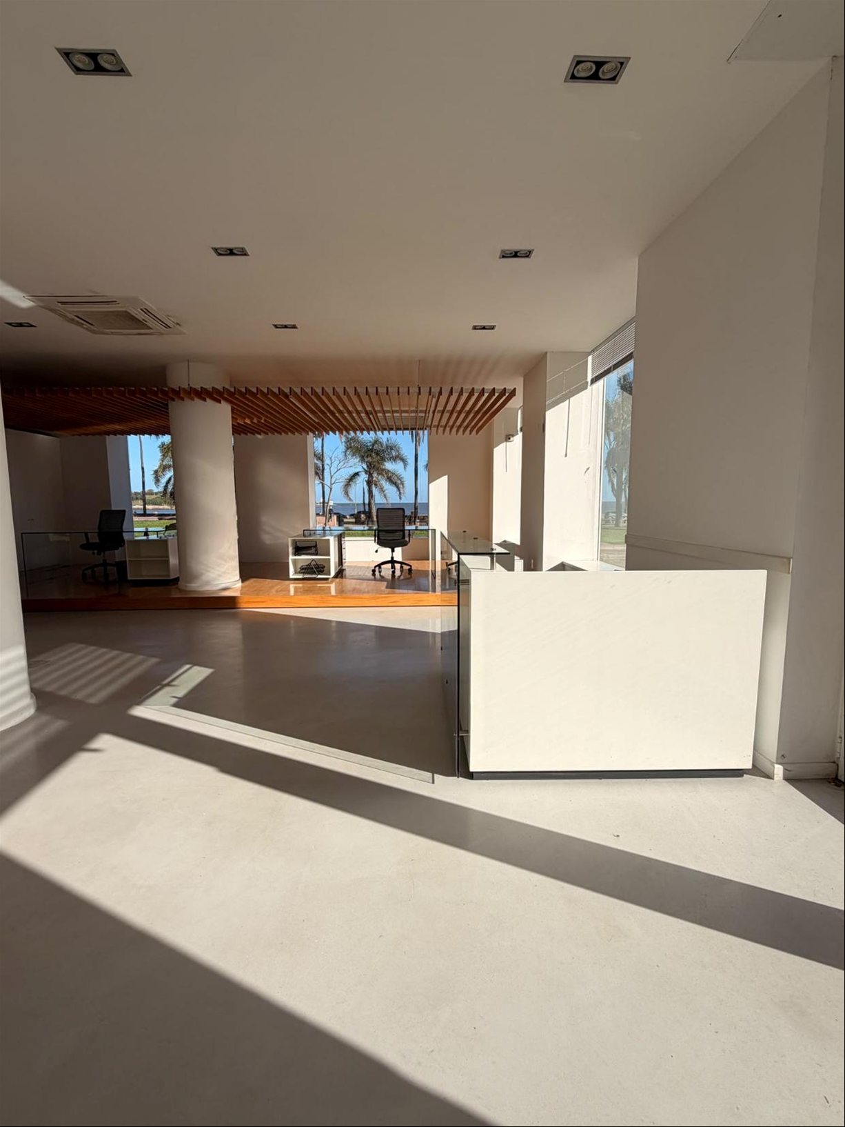 Alquiler de Local comercial/Showroom frente a Rambla, Parque Rodó, Peyrou. · Foto 4