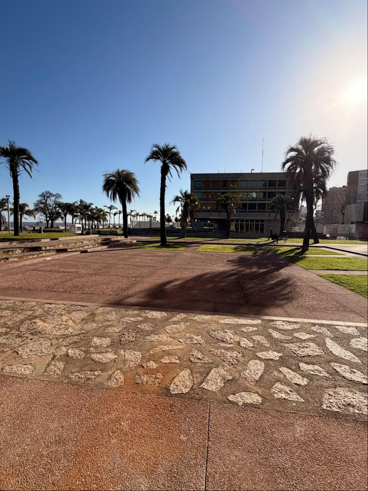 Alquiler de Local comercial/Showroom frente a Rambla, Parque Rodó, Peyrou. · Foto 7
