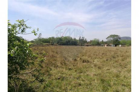 Vendo Terreno De 4 Hectáreas En Yaguaron