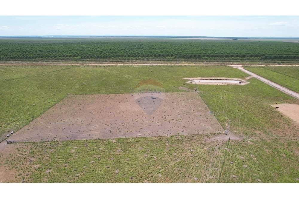 VENDO CAMPO AGRICOLA Y FORESTAL EN CAAZAPA — foto 3