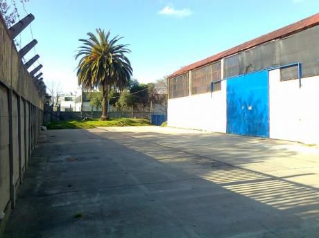 Algo Unico Mdeo! Libre Circulacion Vig. 24hs