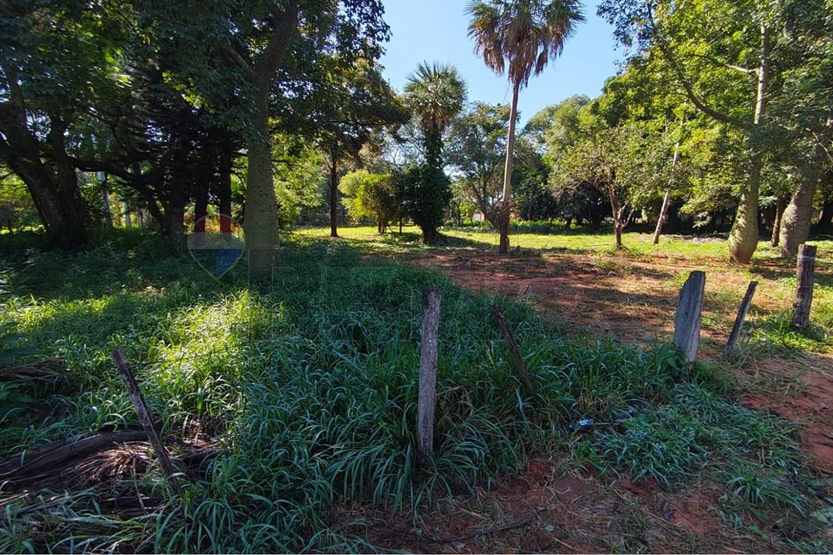 Terreno - Alquiler - Capiata, Central, Paraguay, Gran oportunidad! — foto 2