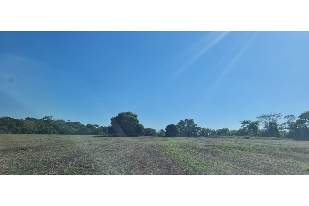 Terreno-Venta-000 000, si, Itacurubí del Rosario, San Pedro — foto 3