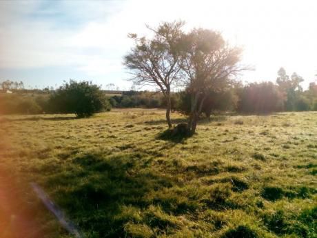 Olmos, A Minutos De Pando.