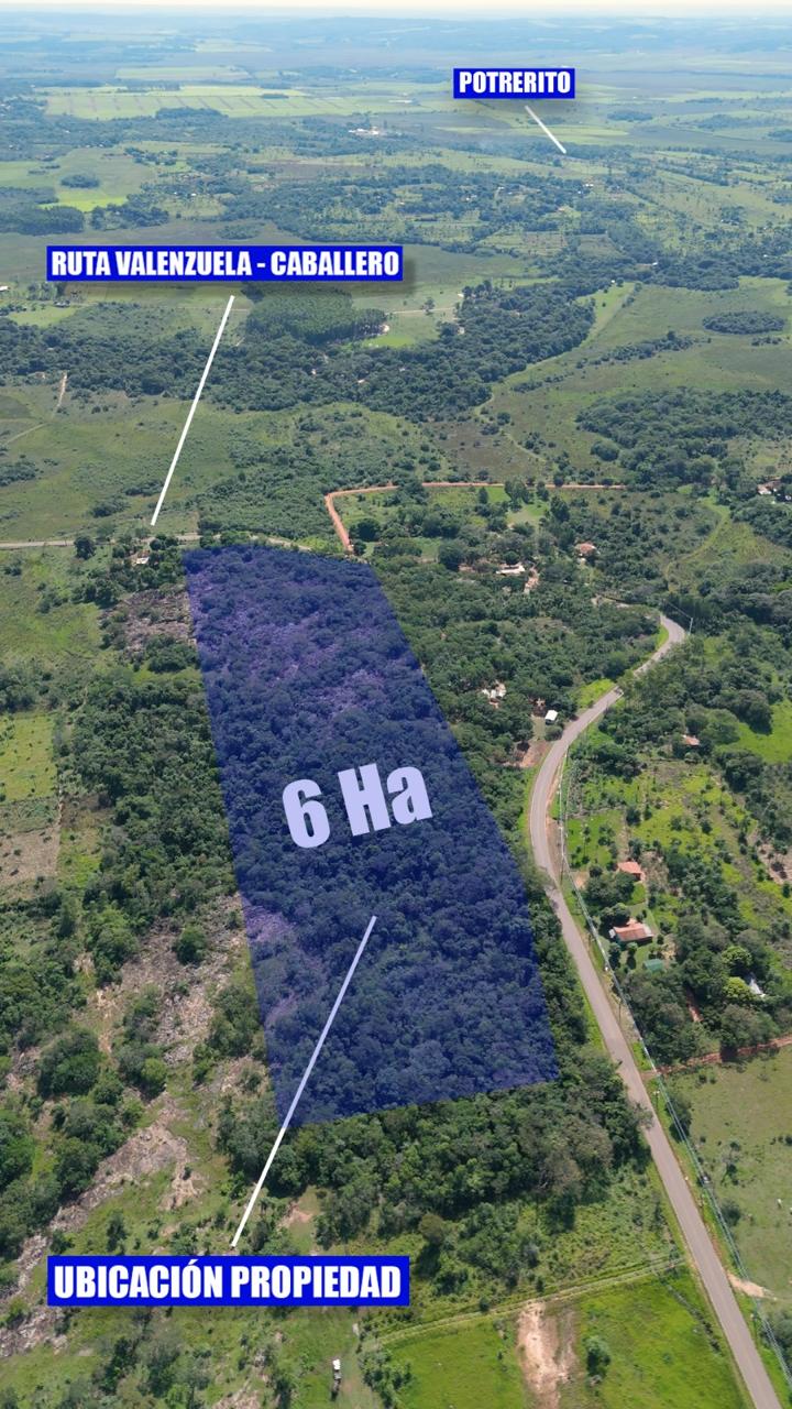 Ideal inversión de 6 hectáreas, Valenzuela — foto 3