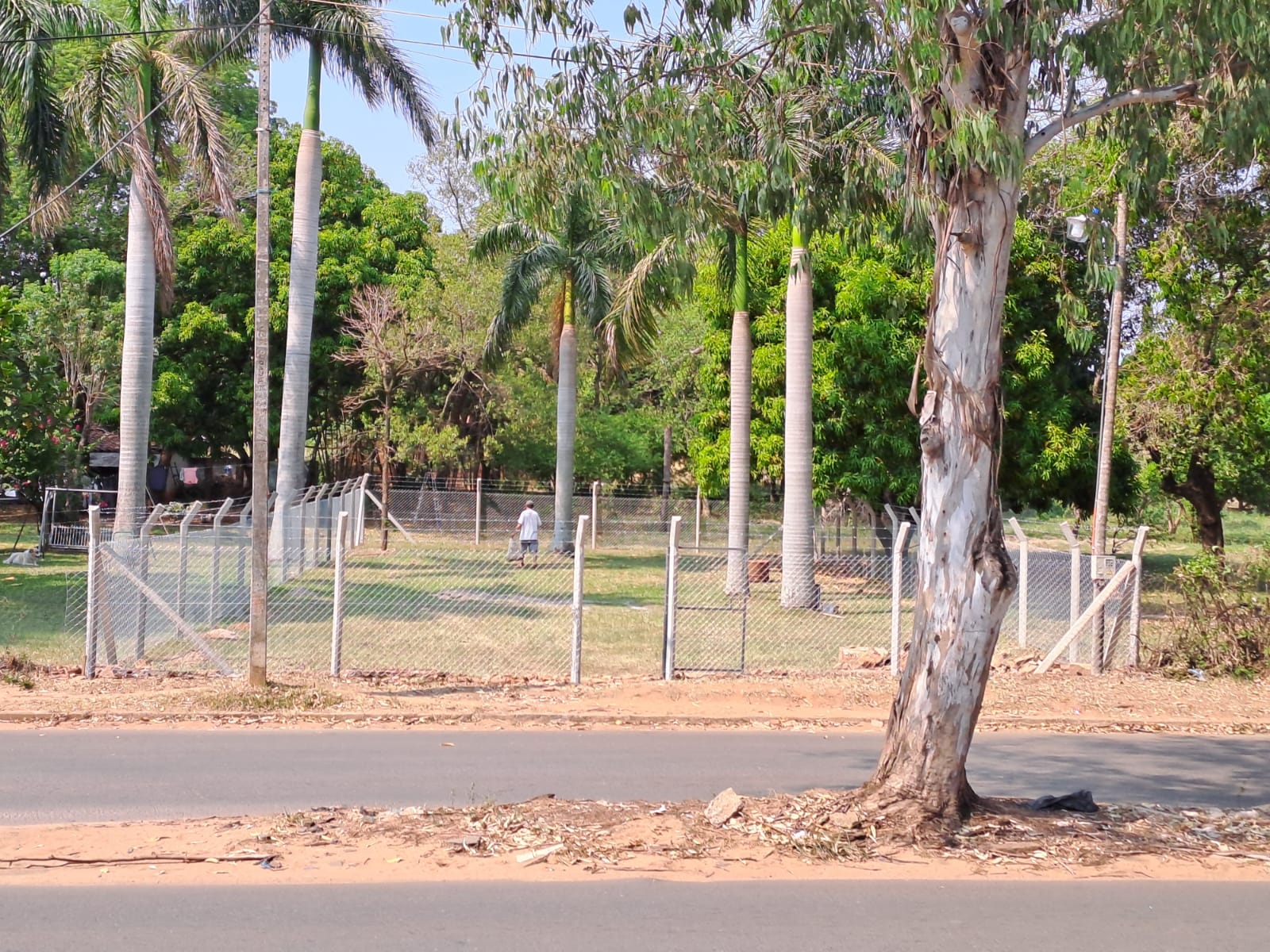 Terreno en venta en Laurelty, Luque — foto 3