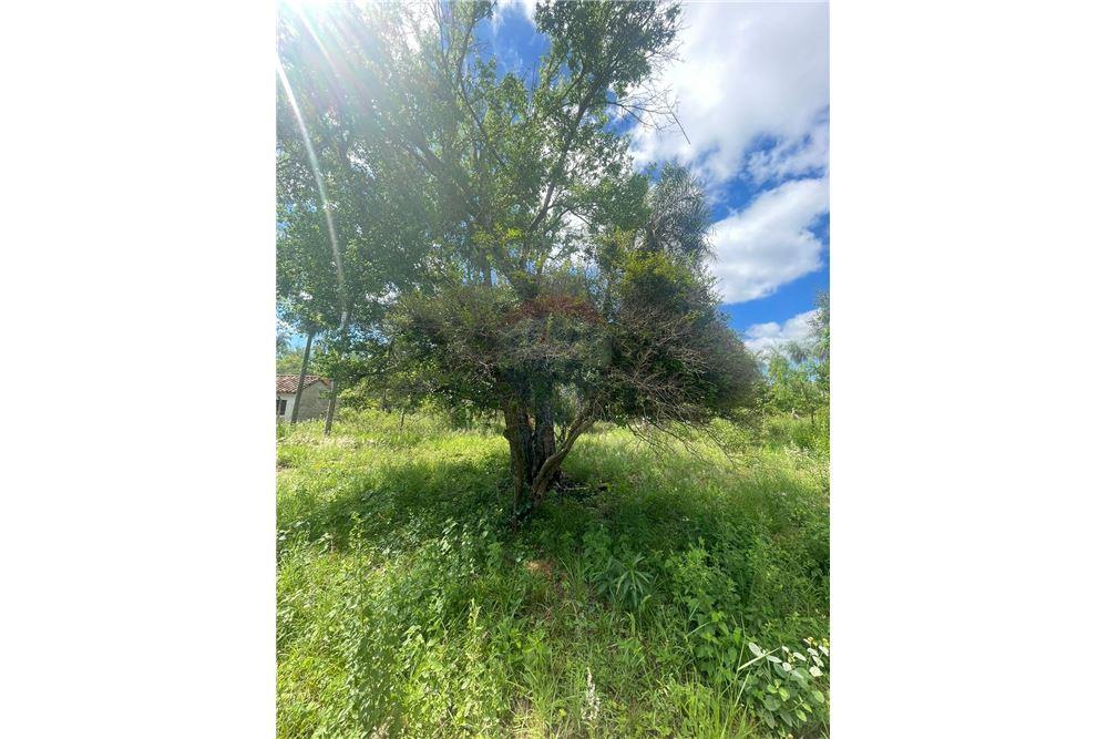 Vendo terreno en esquina en San Bernardino — foto 2