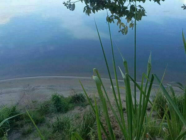 TERRENO EN VENTA – 70 HAS SOBRE EL RÍO PARANÁ  DISTRITO CAPITÁN MEZA – ITAPÚA — foto 3