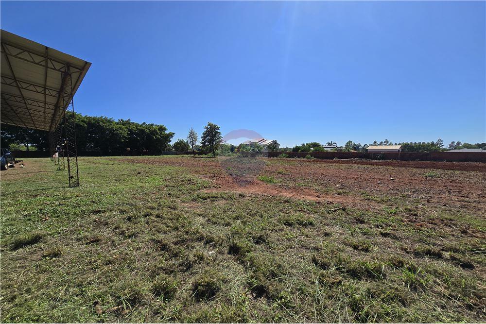 Molino en Venta – Nueva Toledo, Caaguazú — foto 2