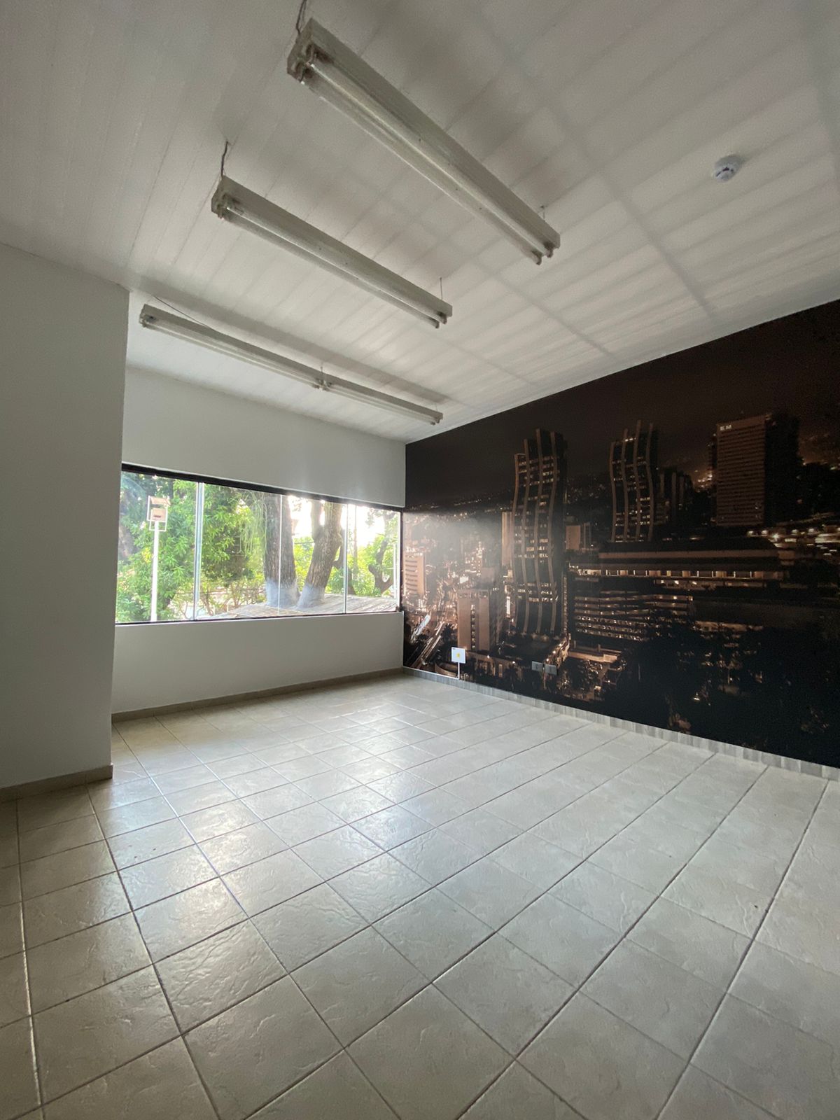 ALQUILER DE SALON COMERCIAL ZONA BOGGIANI — foto 3