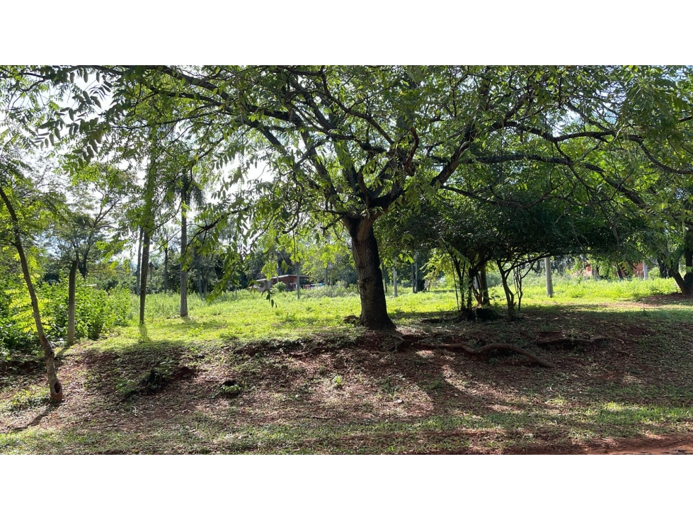 Amplio Terreno En Yukyty Areguá — foto 2