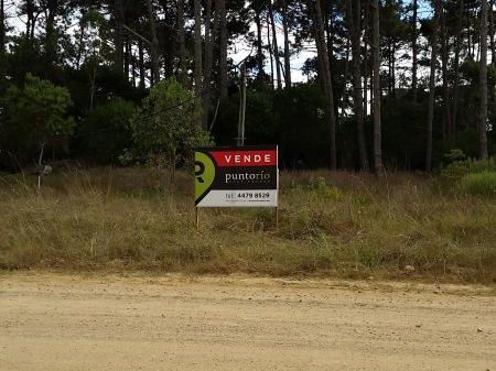 1200 M2 Sobre Av. Del Navío