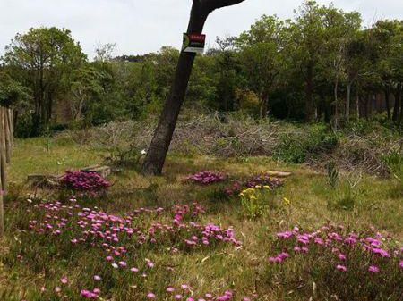 Terreno De 920 M2 En Los Botes