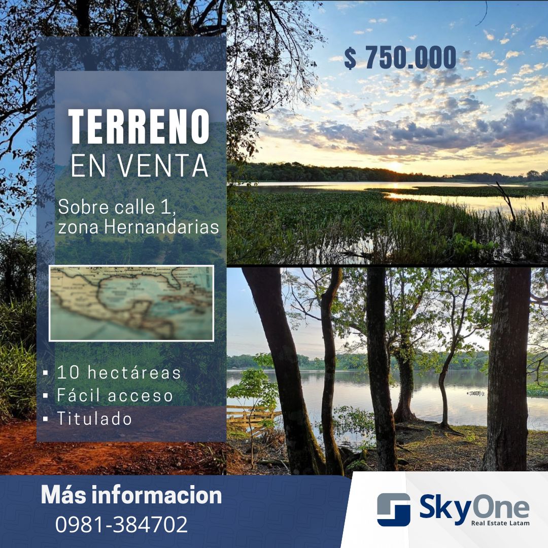 VENDO 10 HA EN HERNANDARIAS Z/ CALLE 1 — foto 2