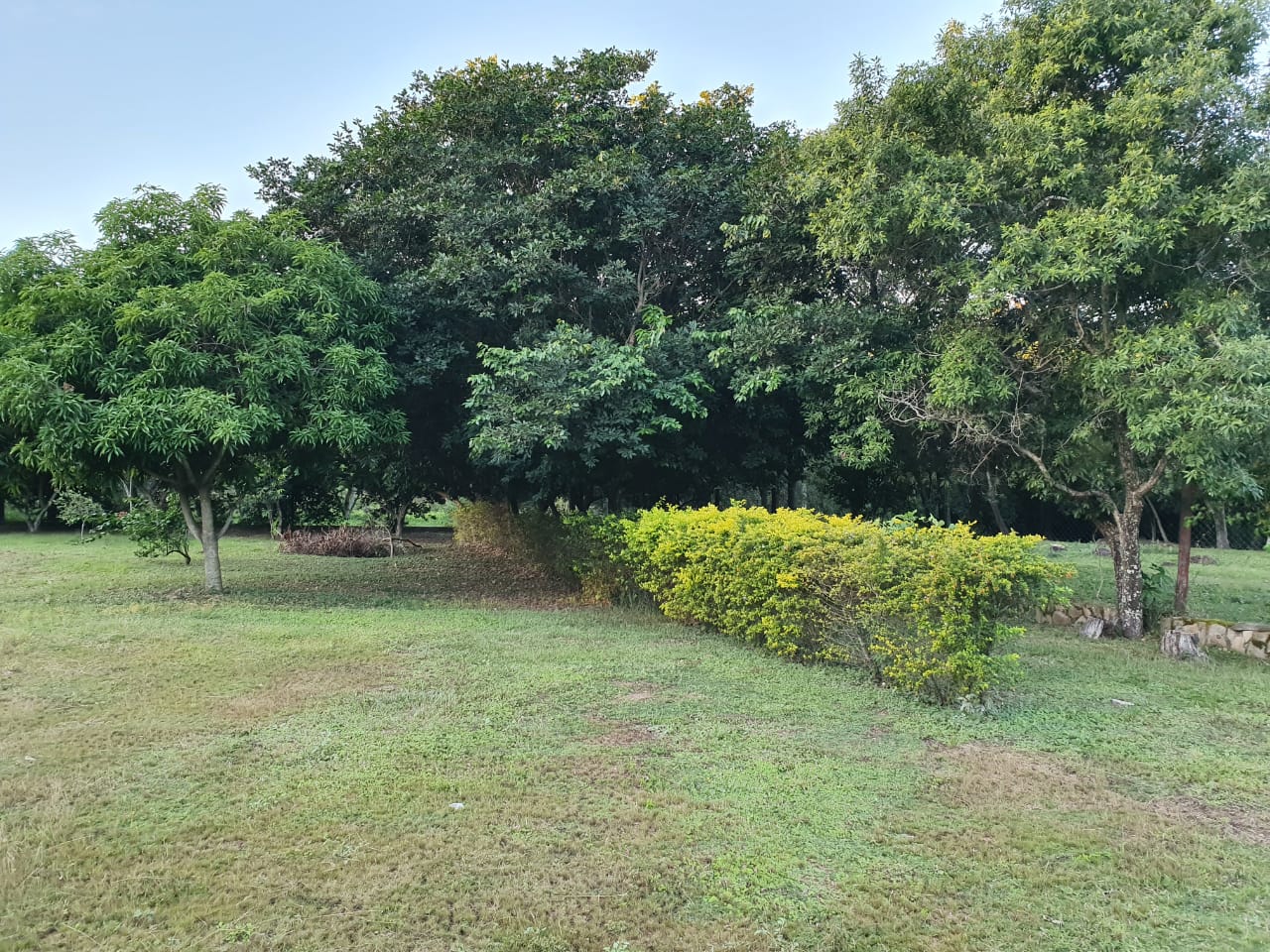 LOMA GRANDE: Exclusivo Terreno de 1.518 m² con Potencial Ilimitado. — foto 3