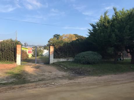 3 Dormitorios- 540 M2 De Terreno- Inmobiliaria Calipso