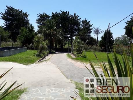 Terreno De 16715 M2 En Alquiler En Peñarol