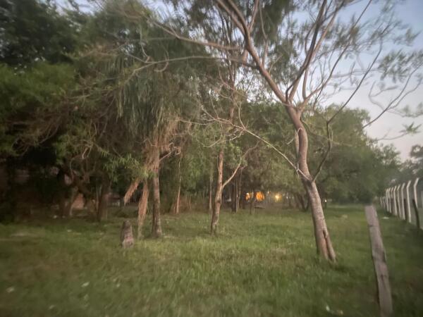 2 TERRENOS EN SAN BERNARDINO EN EL DISTRITO DE CIERVO CUA — foto 2