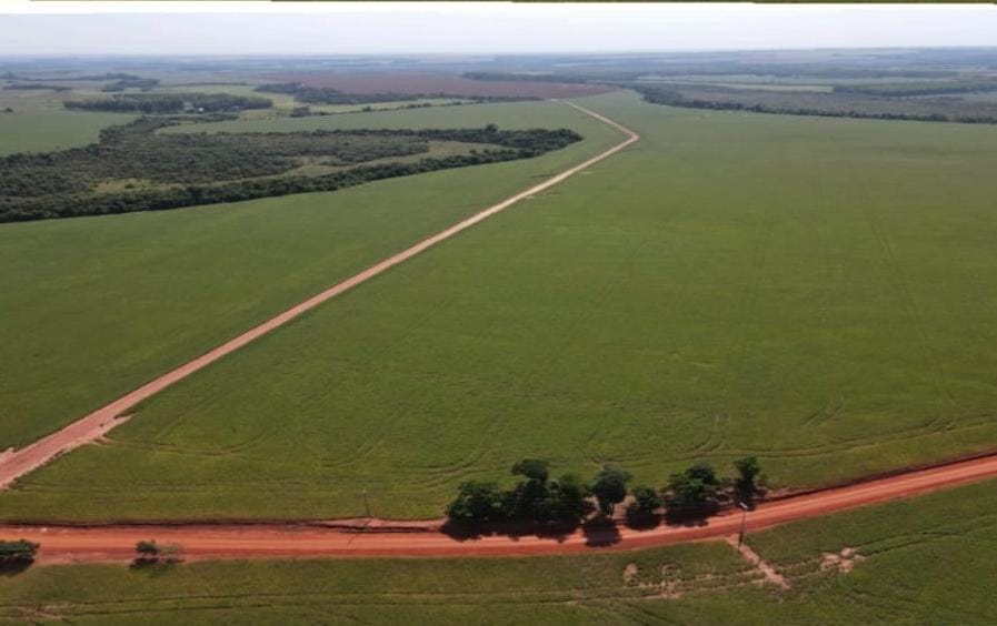 Vendo Campo Agrícola de 1.064 Hectáreas en Santa Rita - CLCS6165696 — foto 2