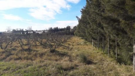 3 Hás Terreno Cno Fauquet Y Perimetral 102