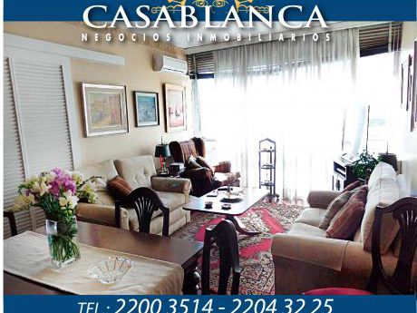 Casablanca - Hermosa Planta