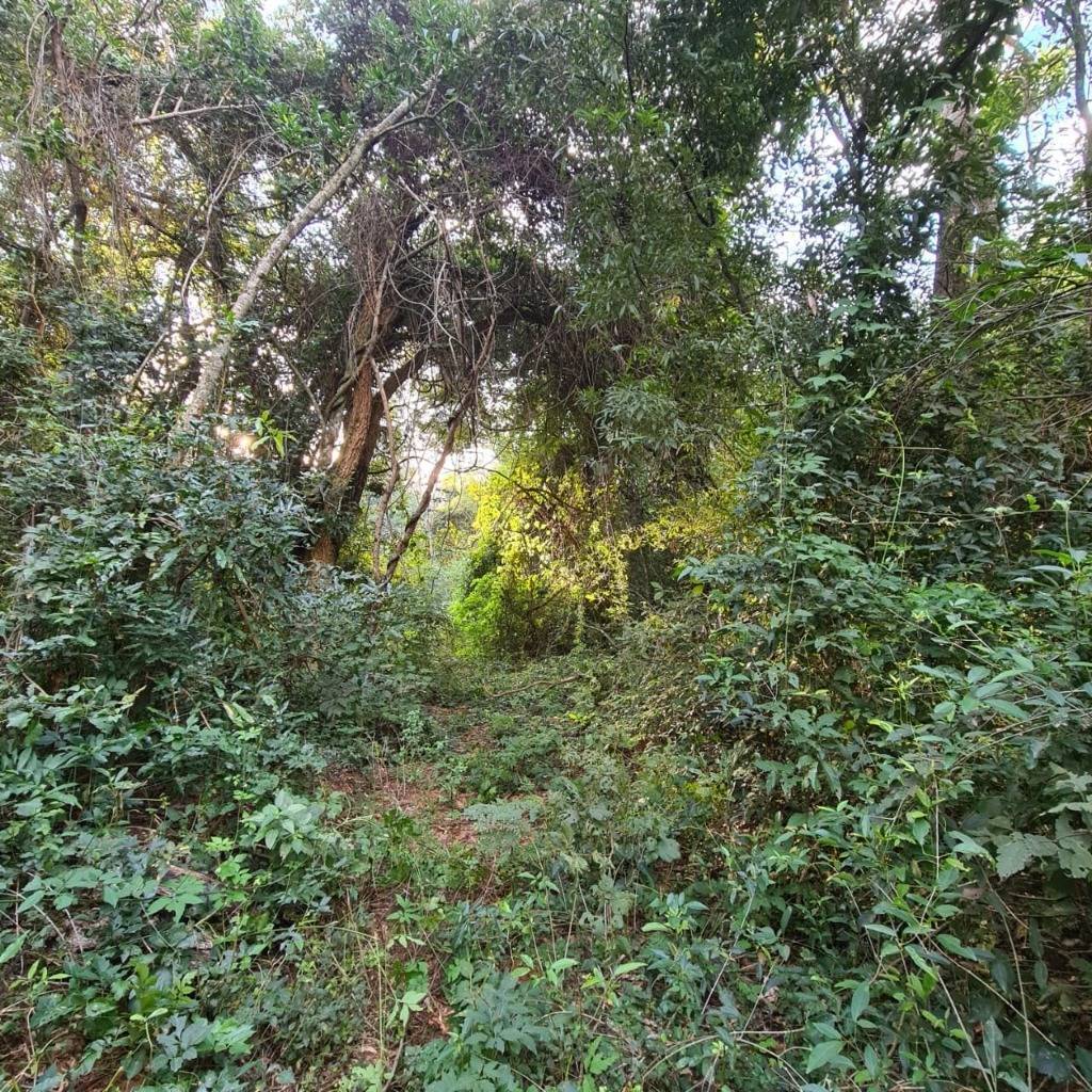 EN VENTA TERRENO EN ATYRA DE 9,3  HECTAREAS — foto 3