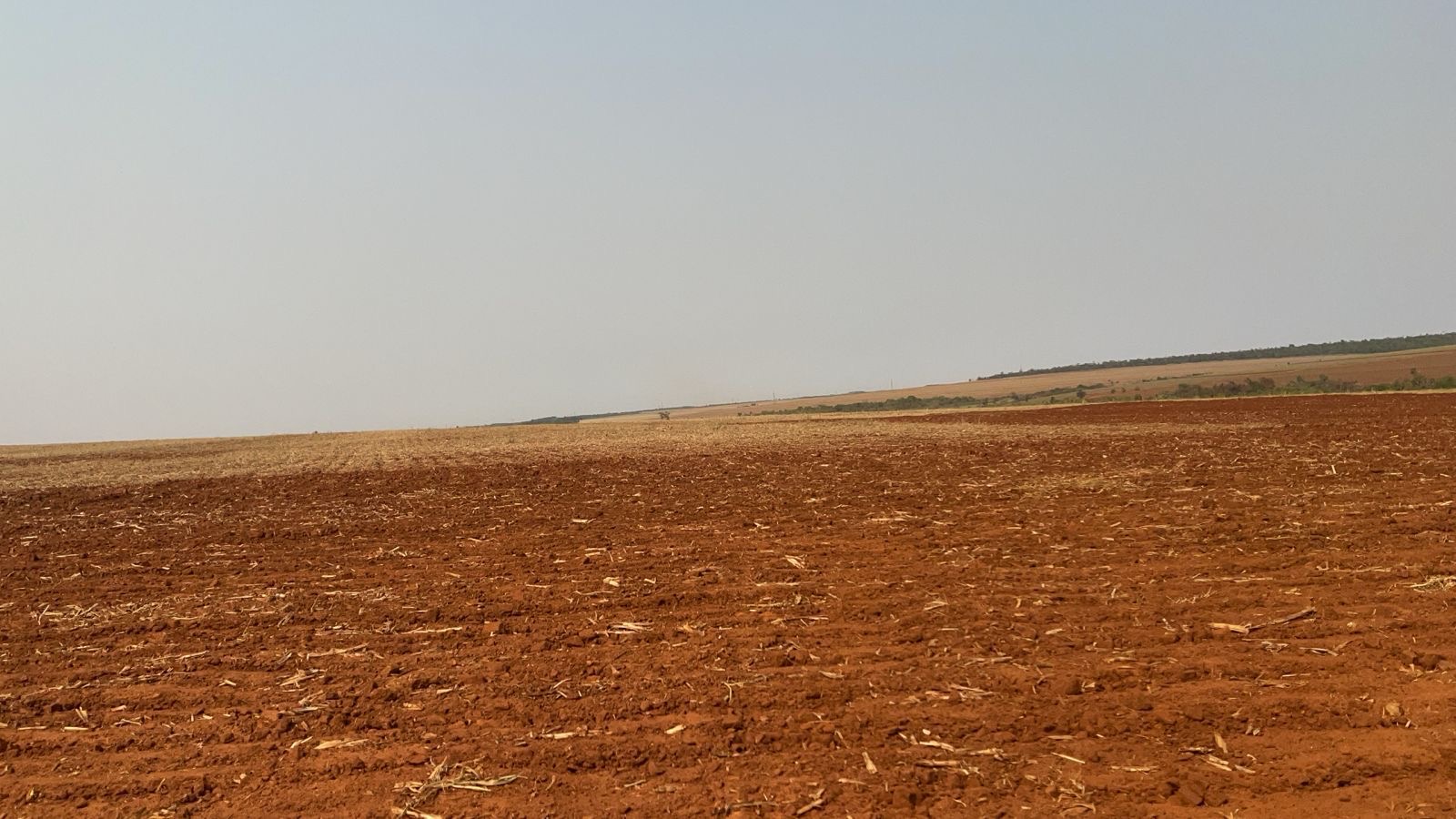Hermosa y productiva propiedad rural en venta — foto 2