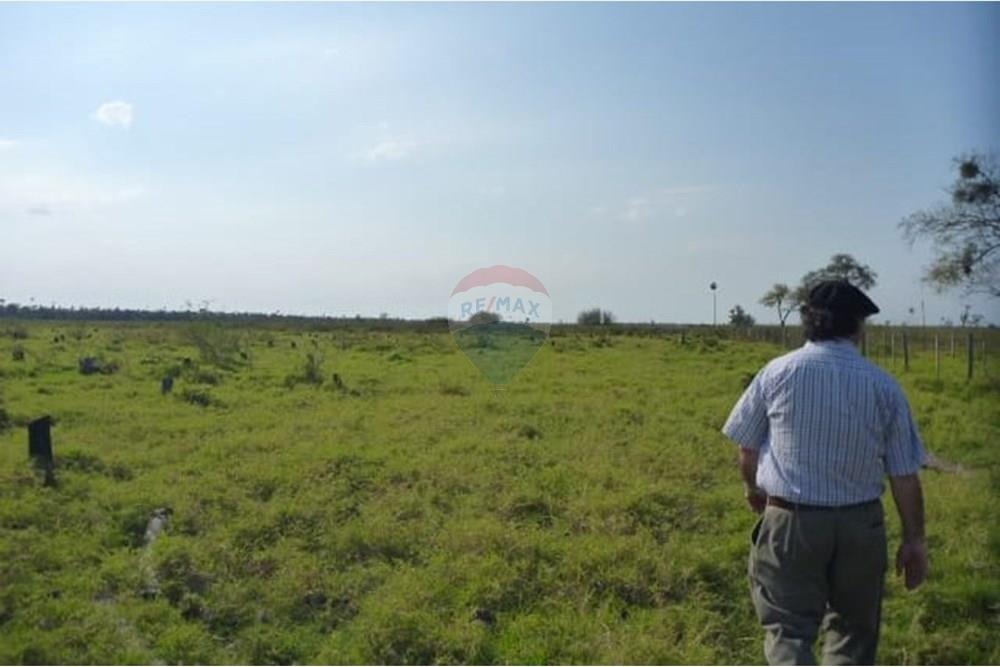 VENDO ESTANCIA DE 731 HECTAREAS EN PTE HAYES — foto 3