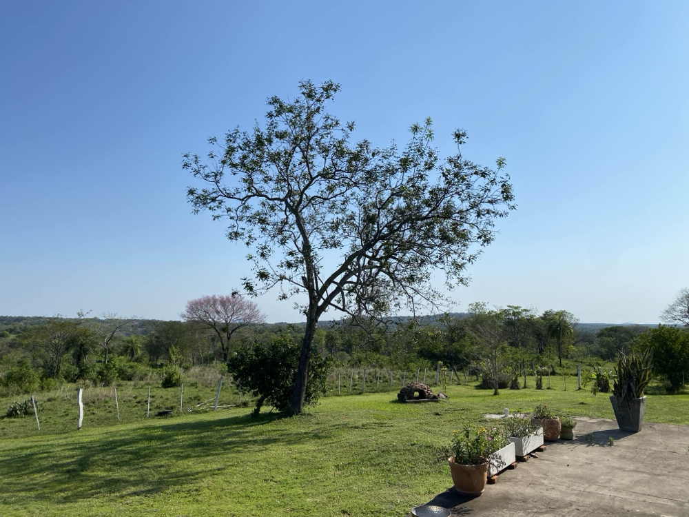 Campo en venta en Sapucai — foto 2