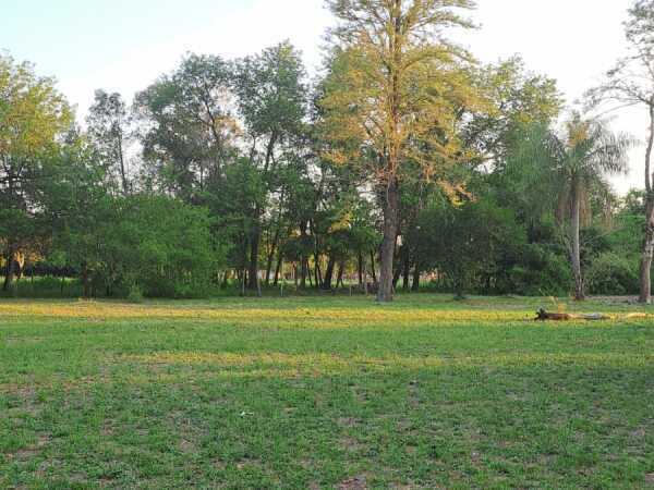 Terreno en venta en San Bernardino — foto 2