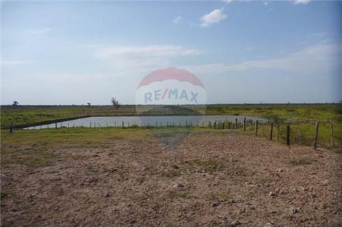 VENDO ESTANCIA EN PRESIDENTE HAYES 731 HECTAREAS — foto 2