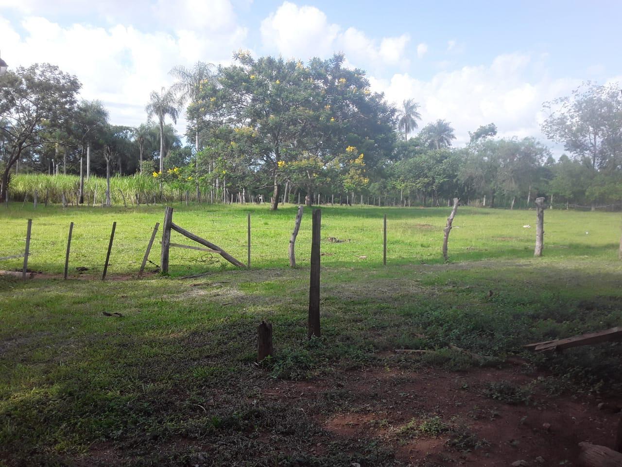 Hermosa granja de 5 hectáreas en venta - PRIBEBUY — foto 2