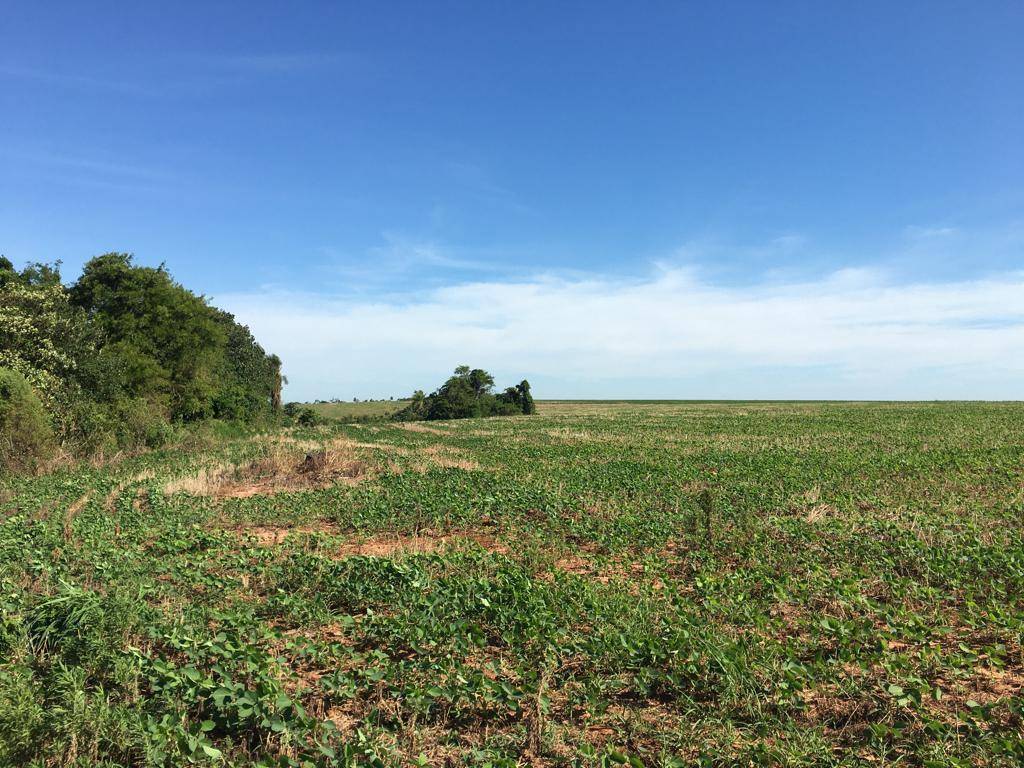 CAMPO EN VENTA | 15 HECTÁREAS CON GRAN POTENCIAL PRODUCTIVO EN ABAÍ, CAAZAPÁ — foto 3