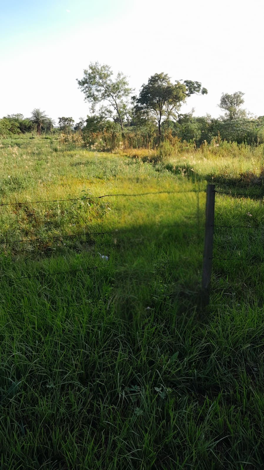 VENDO TERRENO EN SAN IGNACIO MISIONES — foto 2