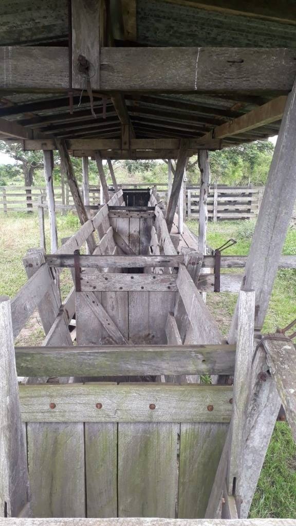 CAMPO AGRICOLA, GANADERO Y FORESTAL EN VENTA | 4.091 HECTÁREAS | SAN PEDRO, PY — foto 3