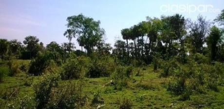 Terreno Sobre Rio Paraguay. Villeta. Villa Oliva