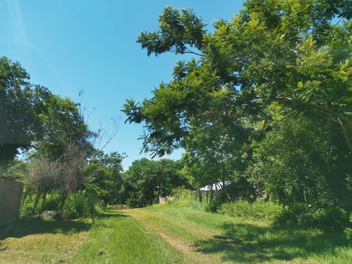 Terreno en venta en fracción San Ber I y II — foto 3
